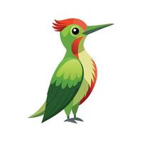 Stylish Illustration of Green Woodpecker vector