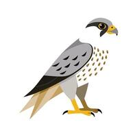 Elegant Artwork of Gyrfalcon Bird vector