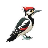 Unique Hairy Woodpecker Bird Artwork vector
