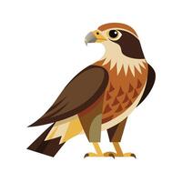 Unique Hawk Bird Artwork vector
