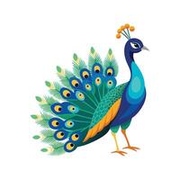 Unique Indian Peafowl Bird Graphic vector