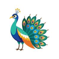 Charming Indian Peafowl Bird Artwork vector