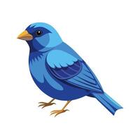 Charming Indigo Bunting Artwork vector