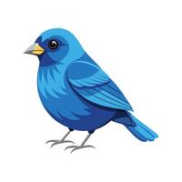 Unique Artwork of Indigo Bunting vector