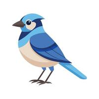 Charming Jay Bird Artwork vector