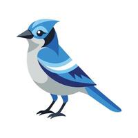 Charming of Jay Bird vector