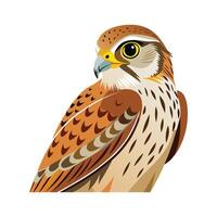Unique Kestrel Bird Graphic vector