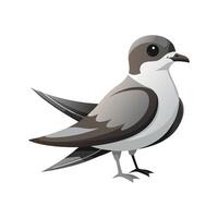 Stylish Illustration of Leachs StormPetrel vector