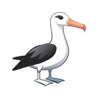 Charming Laysan Albatross Bird Artwork vector