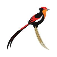 Unique LongTailed Widowbird Bird Artwork vector
