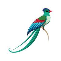 Unique LongTailed Sylph Bird Graphic vector