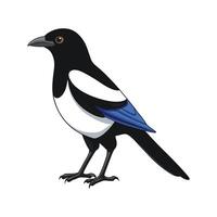 Unique Magpie Bird Artwork vector