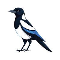 Elegant Magpie Bird Graphic vector