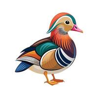 Charming Mandarin Duck Artwork vector