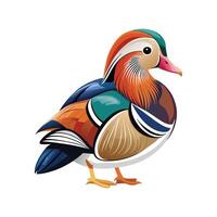 Elegant Mandarin Duck Design vector