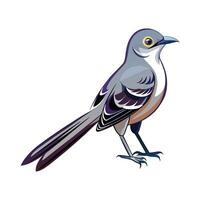 Charming Mockingbird Illustration vector