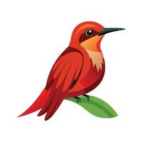Charming Northern Carmine Bee Eater Artwork vector