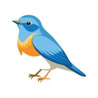 Unique Northern Parula Design vector