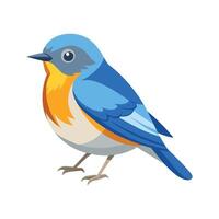 Charming Northern Parula Illustration vector