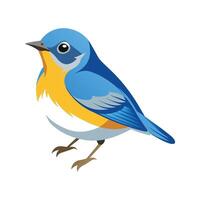 Vibrant Northern Parula vector