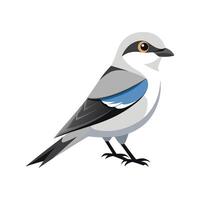Charming Northern Shrike Design vector