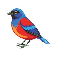 Charming Painted Bunting Artwork vector