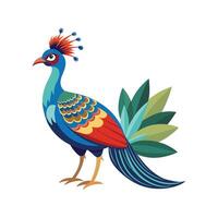 Unique Palawan Peacock Pheasant Illustration vector
