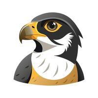 Charming Peregrine Falcon Design vector