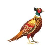 Elegant Pheasant Bird Design vector