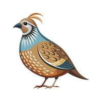 Elegant Quail Bird Design vector