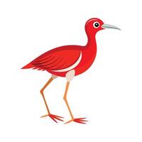 Elegant Redlegged Seriema Illustration vector