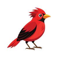 Charming Redruffed Fruitcrow Design vector