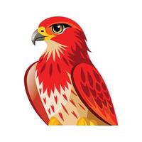 Charming Redtailed Hawk Design vector