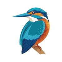 Elegant Ringed Kingfisher Design vector