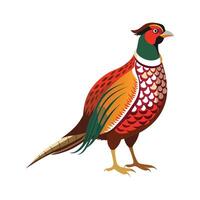 Charming Ringnecked Pheasant Artwork vector