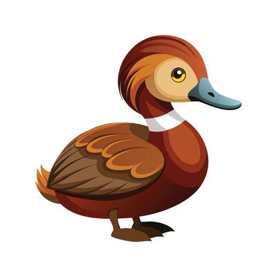 Vibrant ruddy duck in action illustration