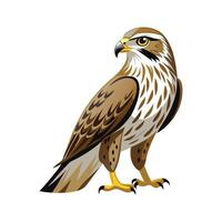 Elegant roughlegged hawk character design vector