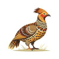Elegant ruffed grouse illustration design vector