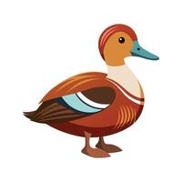 Playful ruddy duck art for nature vector