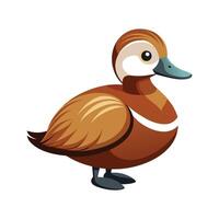 Stylized ruddy duck character art vector
