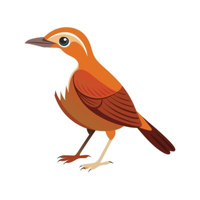 Lively rufous hornero in action illustration