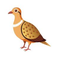 Charming sandgrouse character in nature vector