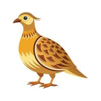 Dynamic sandgrouse illustration for creative use vector