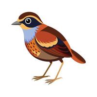 Stylized scaled antpitta character in nature vector