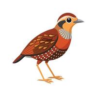 Dynamic scaled antpitta illustration for creatives vector