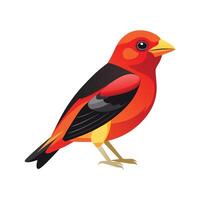 Charming scarlet tanager character design vector