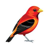 Dynamic scarlet tanager art for nature vector