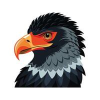 Charming shikra character in habitat vector