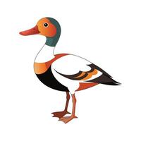 Dynamic shelduck character art vector