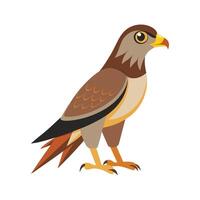 Dynamic shikra art for nature projects vector